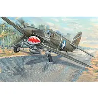 1/32 Scale Model Kit (1/32 P-40F ウォーホーク [03227])