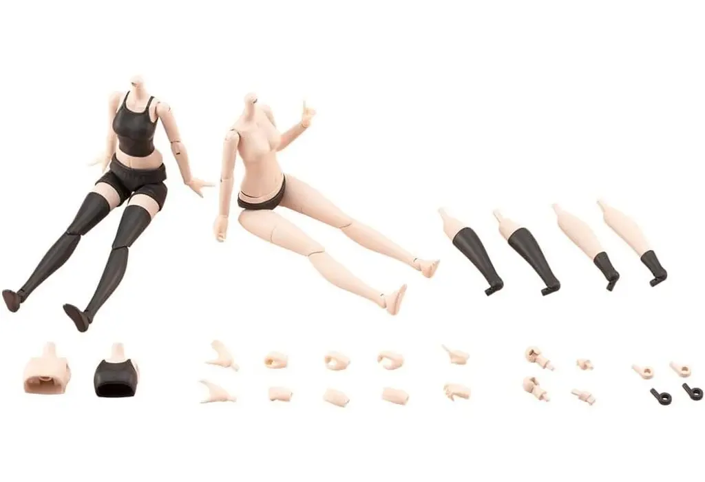 Tiny Closet - MEGAMI DEVICE / Koyomi Takanashi