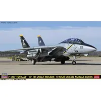 1/72 Scale Model Kit - Fighter aircraft model kits / F-14