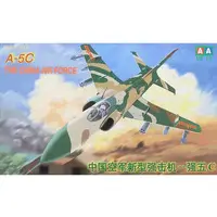 1/48 Scale Model Kit - Attack aircraft