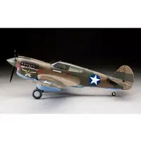 1/32 Scale Model Kit - Fighter aircraft model kits / Curtiss P-40 Warhawk