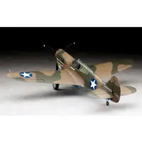 1/32 Scale Model Kit - Fighter aircraft model kits / Curtiss P-40 Warhawk