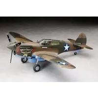 1/32 Scale Model Kit - Fighter aircraft model kits / Curtiss P-40 Warhawk