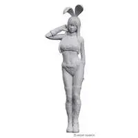1/12 Scale Model Kit - Real Figure Collection