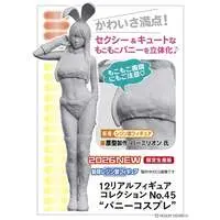 1/12 Scale Model Kit - Real Figure Collection