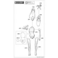 1/12 Scale Model Kit - Real Figure Collection