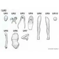 1/12 Scale Model Kit - Real Figure Collection