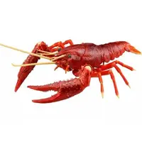 Plastic Model Kit - Jiyuu Kenkyuu Series / Procambarus clarkii