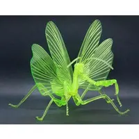 Plastic Model Kit - Jiyuu Kenkyuu Series / Tenodera aridifolia