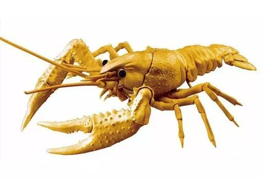 Plastic Model Kit - Jiyuu Kenkyuu Series / Procambarus clarkii