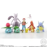 Pokémon Scale World - Pokémon / Eevee & Wartortle
