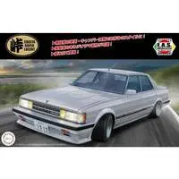 1/24 Scale Model Kit - Touge series (Pass series)