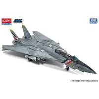 1/48 Scale Model Kit - Fighter aircraft model kits / F-14