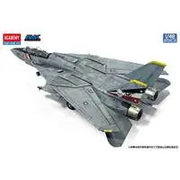 1/48 Scale Model Kit - Fighter aircraft model kits / F-14