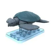 Planosaurus - Dinosaur Model Kits