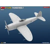 1/48 Scale Model Kit - Fighter aircraft model kits / P-47 Thunderbolt