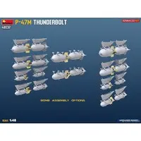 1/48 Scale Model Kit - Fighter aircraft model kits / P-47 Thunderbolt