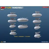 1/48 Scale Model Kit - Fighter aircraft model kits / P-47 Thunderbolt