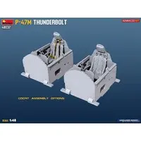 1/48 Scale Model Kit - Fighter aircraft model kits / P-47 Thunderbolt