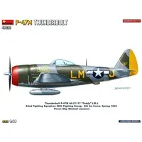 1/48 Scale Model Kit - Fighter aircraft model kits / P-47 Thunderbolt