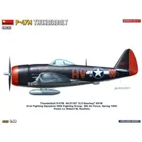 1/48 Scale Model Kit - Fighter aircraft model kits / P-47 Thunderbolt