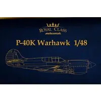 1/48 Scale Model Kit - Fighter aircraft model kits / Curtiss P-40 Warhawk