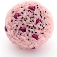 Plastic Model Kit - Onigiri Plastic Model