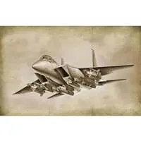 1/72 Scale Model Kit - Fighter aircraft model kits / McDonnell Douglas F-15 Eagle