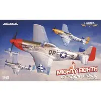 1/48 Scale Model Kit - Fighter aircraft model kits / North American P-51 Mustang