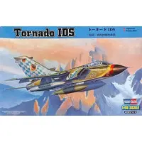 1/48 Scale Model Kit (1/48 トーネード IDS 「エアクラフト シリーズ」 [80353])
