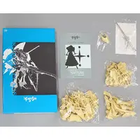 1/100 Scale Model Kit - The Five Star Stories