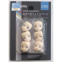 Plastic Model Parts - SSSS.GRIDMAN / Takarada Rikka