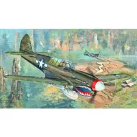 1/32 Scale Model Kit - Fighter aircraft model kits / Curtiss P-40 Warhawk