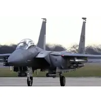 1/48 Scale Model Kit - Fighter aircraft model kits / F-15 Strike Eagle