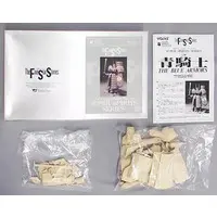 1/100 Scale Model Kit - The Five Star Stories