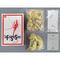 1/100 Scale Model Kit - The Five Star Stories