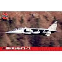 1/48 Scale Model Kit - Trainer aircraft / SEPECAT Jaguar