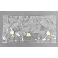 PLAMATEA - Blue Archive / Asuma Toki