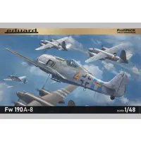 1/48 Scale Model Kit - Fighter aircraft model kits / Focke-Wulf Fw 190
