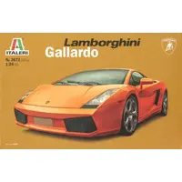 1/24 Scale Model Kit - Lamborghini / Countach