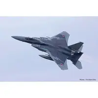 1/72 Scale Model Kit - Japan Self-Defense Forces / McDonnell Douglas F-15 Eagle
