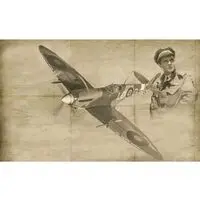 1/48 Scale Model Kit - Fighter aircraft model kits / Supermarine Spitfire