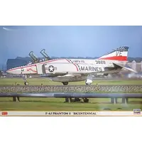 1/48 Scale Model Kit - Fighter aircraft model kits / F-4