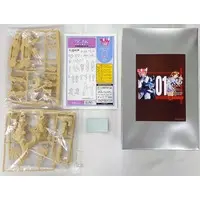 1/100 Scale Model Kit - Muv-Luv Alternative