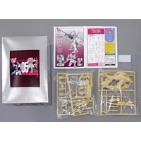 1/100 Scale Model Kit - Muv-Luv Alternative