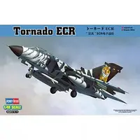1/48 Scale Model Kit - Attack aircraft / Panavia Tornado ECR