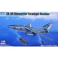 1/48 Scale Model Kit (1/48 アメリカ海軍 EA-3B スカイウォーリア [02871])