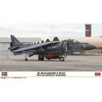 1/48 Scale Model Kit - Fighter aircraft model kits / McDonnell Douglas AV-8B Harrier II