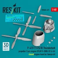1/48 Scale Model Kit - Fighter aircraft model kits / P-47 Thunderbolt