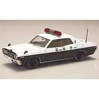1/24 Scale Model Kit - Vehicle